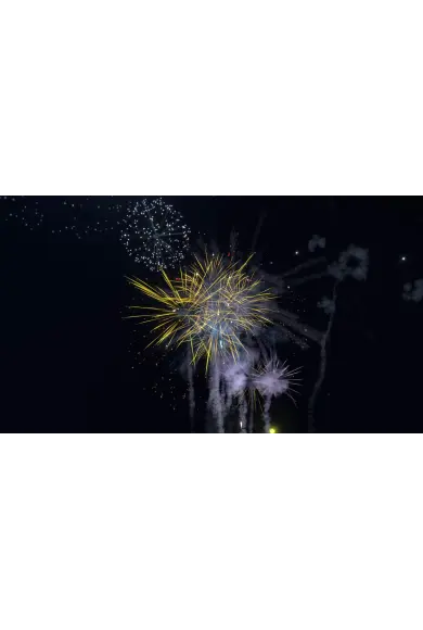 Fireworks Mania An Explosive Simulator Cd Key Kaufen Smartcdkeys