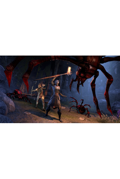 The Elder Scrolls Online: Summerset Collectors Edition Upgrade