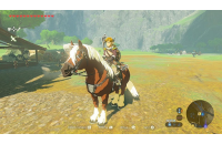 The Legend of Zelda: Breath of the Wild (Wii U)