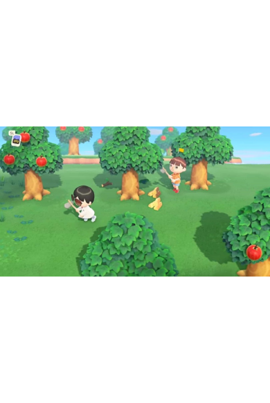 Animal Crossing: New Horizons (USA) (Switch)