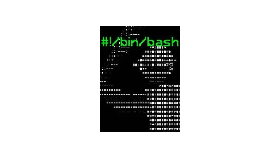 #!/Bin/Bash (PC) gallery image 1