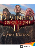 Divinity: Original Sin 2 (Divine Edition)