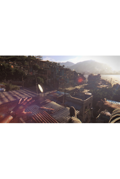 Dying Light: The Following (PS4)