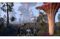 The Elder Scrolls Online: Morrowind Upgrade (PS4)