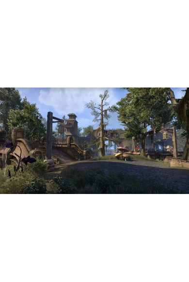 The Elder Scrolls Online: Morrowind Upgrade (PS4)