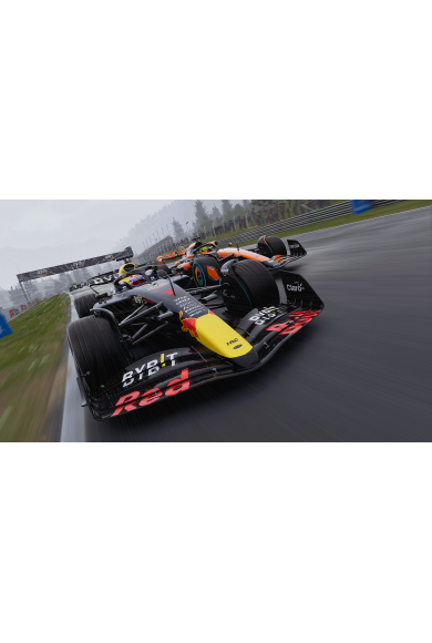 F1 24 (PS4)