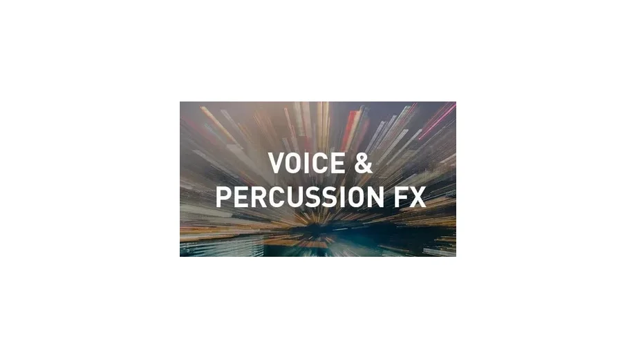 MAGIX Music Maker Voice and Percussion FX gallery image 2