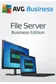 AVG Secure VPN File Server Business