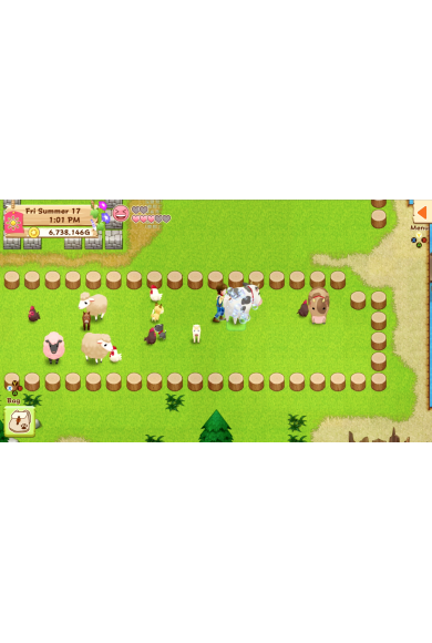 Harvest Moon: Light of Hope Special Edition (Switch)