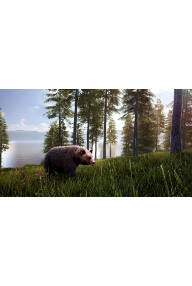 Hunting Simulator 2 - Bear Hunter Edition (Argentina) (Xbox One)
