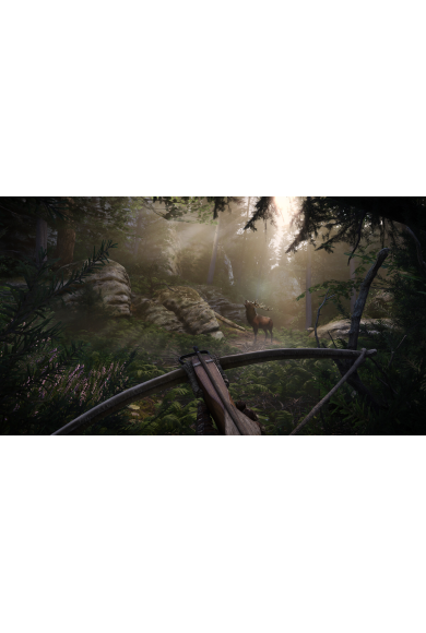 Kingdom Come: Deliverance II (2)
