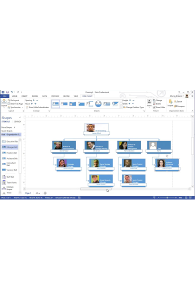 Microsoft Visio Professional 2021 (5 PC)