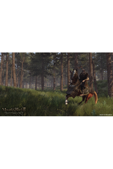 Mount & Blade II: Bannerlord (Turkey) (PC / Xbox ONE / Series X|S)