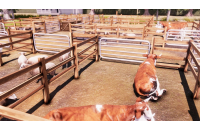 Real Farm (Xbox One)