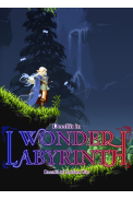 Record of Lodoss War-Deedlit in Wonder Labyrinth-