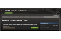 Steam Wallet - Gift Card 250 (TL)