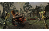 The Elder Scrolls Online: Blackwood Upgrade (DLC) (USA) (Xbox ONE / Series X|S)