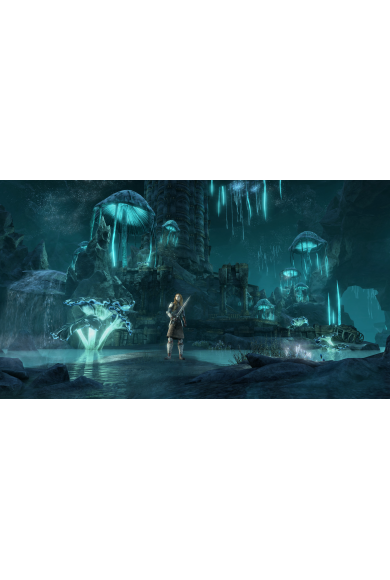 The Elder Scrolls Online - Greymoor Digital Collector's Edition (Xbox One)