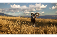 The Hunter: Call of the Wild - Cuatro Colinas Game Reserve (DLC)