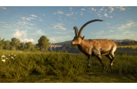 The Hunter: Call of the Wild - Cuatro Colinas Game Reserve (DLC)