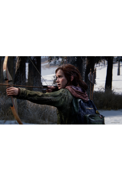 The Last of Us Part I Pre-Order Bonus (DLC) (PS5)