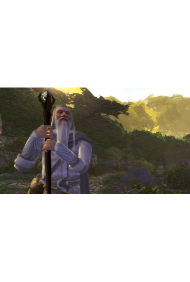 The Lord of the Rings Online 800 LOTRO Point
