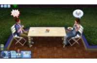 The Sims 3: 1000 Simpoints