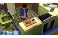 The Sims 3: Ambitions DLC