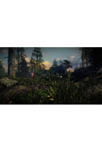 Unravel Two (USA) (Xbox One)