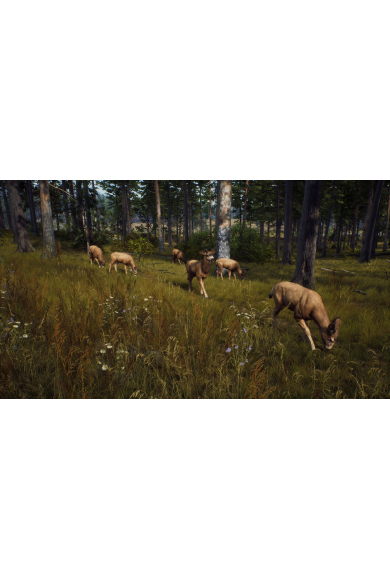 Way of the Hunter - Season Pass (DLC) (Argentina) (Xbox Series X|S)