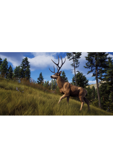 Way of the Hunter (Xbox ONE)