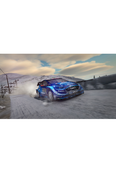 WRC 8 FIA World Rally Championship (PS4)