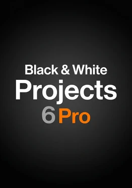 Black & White Projects 6 Pro