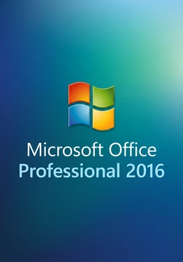 Microsoft Office Professional 2016